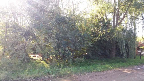 Imagen 3 de 5 de Lote En Venta En Marcos Paz!