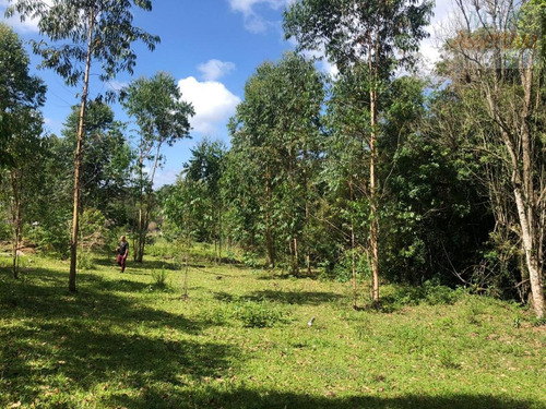 Imagem 7 de 15 de Chácara Para Venda Em Parobé - Cwvcr041_2-1122322