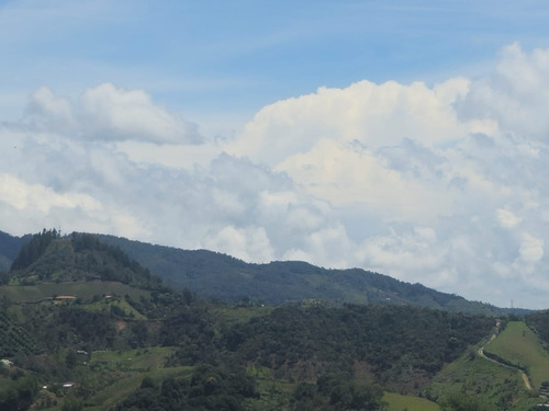 Venta De Finca Vereda Peñolcito - San Vicente Ferrer Antioquia