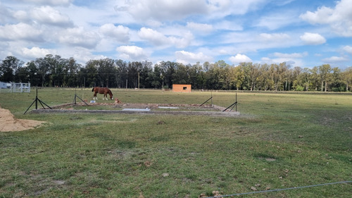 Terreno En Venta En Domselaar. Oportunidad
