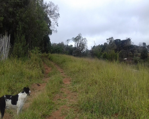 Imagem 12 de 18 de Sitio À Venda No Monjolada - Guiapiara/sp - St00246 - 68125721
