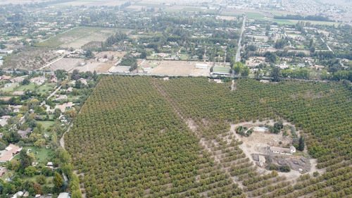 Venta De Campo Subdividido En Calera De Tango Id 58.796-cam