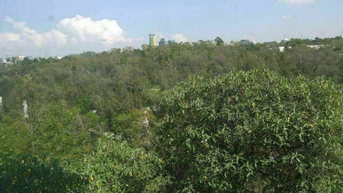 Imagen 11 de 11 de Departamento En Renta En Av Vasco De Quiroga, Santa Fe