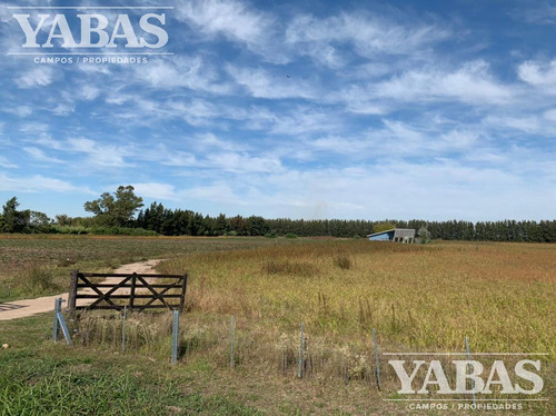 Venta -campo - 8 Hectareas - San Pedro (bs.as)