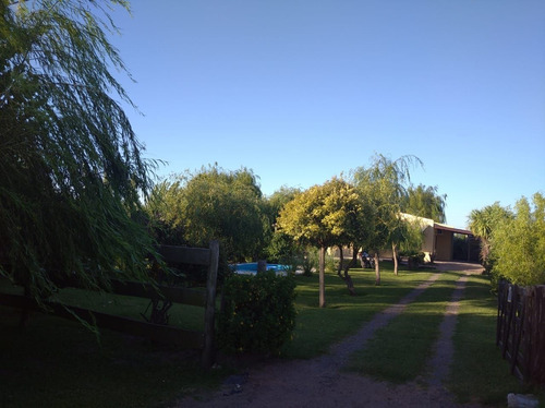 Imagen 2 de 24 de Casa En Venta 9 De Julio