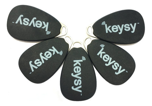 Keysy Llaveros Rfid Regrabables (paquete De 5, Negro)