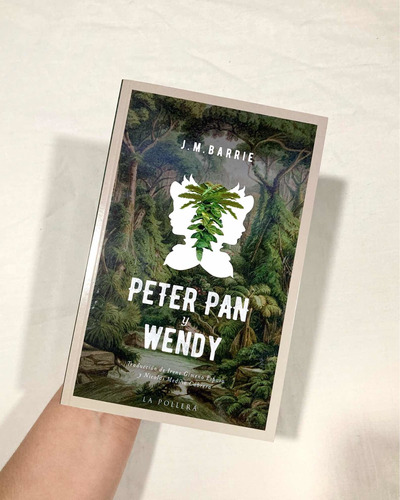 Peter Pan Y Wendy  Jm Barrie | Libro