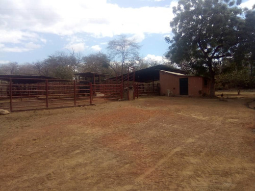Imagen 6 de 14 de Finca Con 1.100 Hectáreas De Terreno Propio Tu Oportunidad