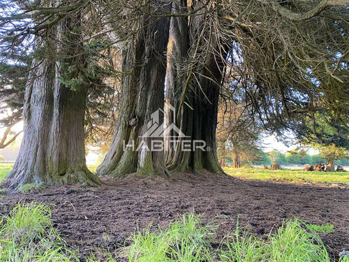 Imagen 11 de 30 de Sitio 5.000m2 Oferta Orilla Rio Navegable En Venta En Toltén
