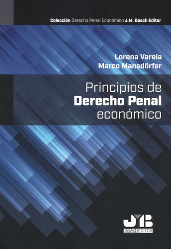 Principios De Derecho Penal Economico