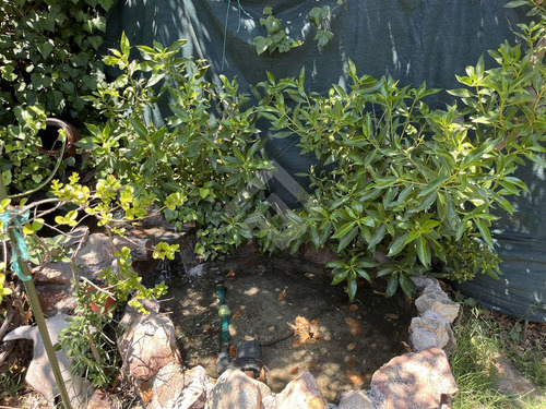 Casa En Venta De 3 Dorm. En Ñuñoa