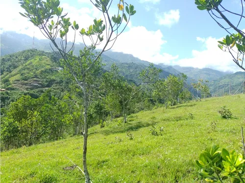 Se Vende Lote En Sanjeronimo (antioquia) 20 Hectáreas + 8.000 Mtr2