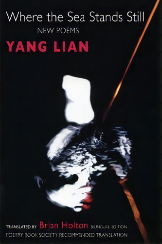 Where The Sea Stands Still, De Yang Lian. Editorial Bloodaxe Books Ltd, Tapa Blanda En Inglés