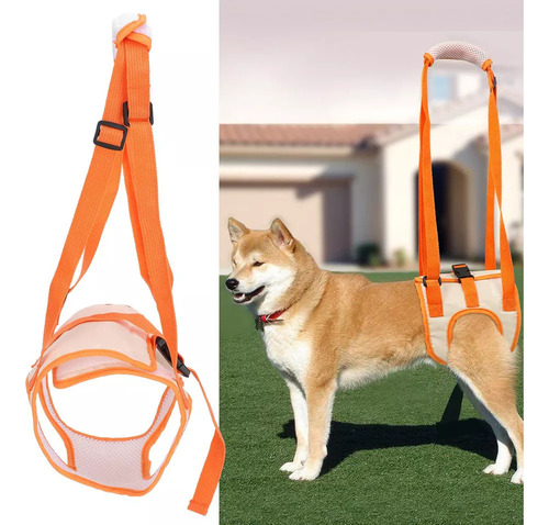 J Arnés De Elevación For Perros Discapacitados Soporte De
