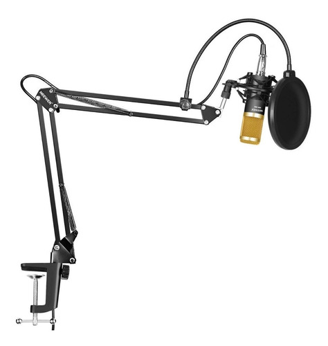 Microfono Condensador Bm800 Brazo Soporte Estudio Antipop
