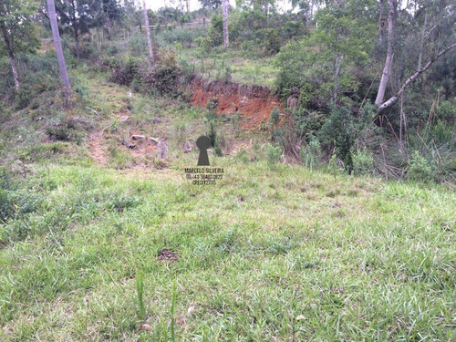 Chácara A Venda No Bairro Centro Em Bocaiúva Do Sul - Pr. - 469-1