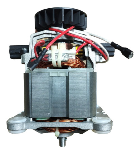 Repuesto Motor Para Licuadora Profesional Dynam Fb01
