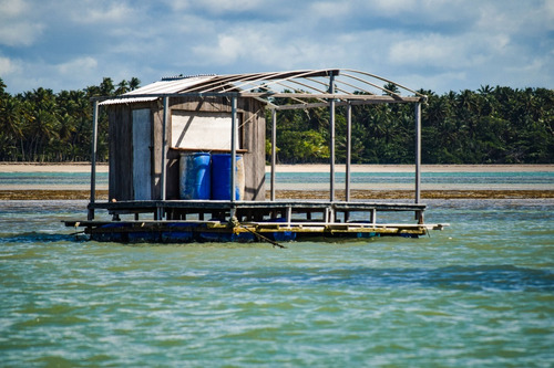 El Bar Flotante