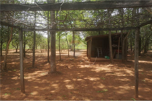 Imagen 7 de 11 de Vendo Casa En Paraguarí: 2 Habitaciones Y Un Baño.