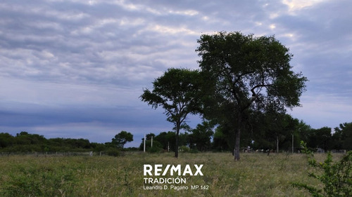 Venta Terreno De 800 M2 En Colonia Popular