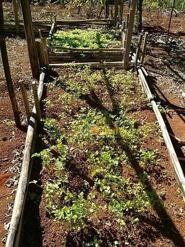 Imagem 16 de 30 de Sítio Com 6 Dormitórios À Venda, 25000 M² Por R$ 3.500.000,00 - Sítio Da Moenda - Itatiba/sp - Si0006