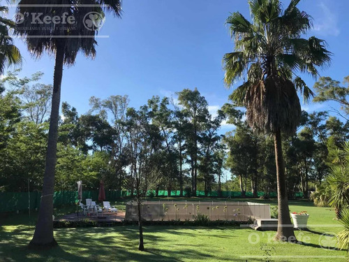 Quinta En Venta En Arturo Segui, La Plata Sobre Lote De 6000 M2