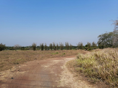Hectáreas En Venta Veracruz Localidad El Pando, Veracruz.