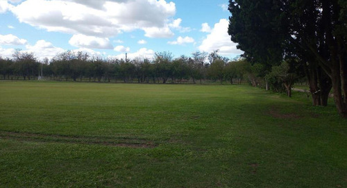 Campo En Venta Ezeiza