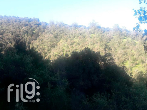 Oportunidad Vendo Gran Terreno En Culipran Melipilla