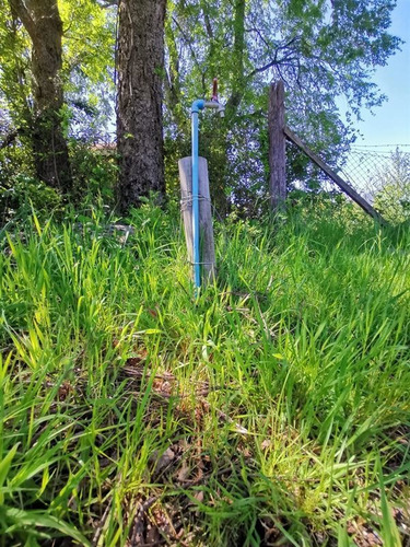 Imagen 5 de 15 de Terreno En Coñaripe Con Ubicación Estratégica