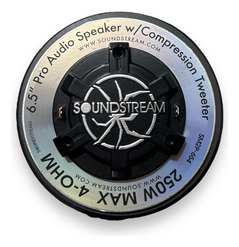 Bocina 6x5 Audio Profesional Con Tweeter De Compresion 250w Negro