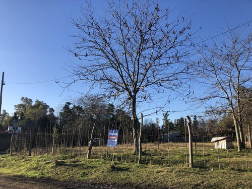 Imagen 2 de 5 de Terreno - La Reja