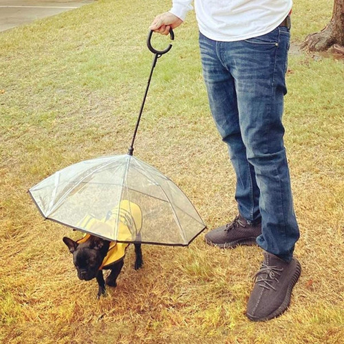 * Paraguas For Perros De 20 Pulgadas Con Correa