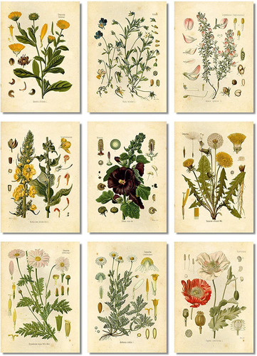 Tinta Inc Impresiones Botanicas Estampados Florales Art...