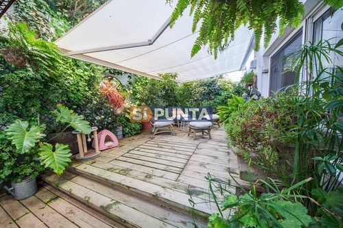 Imagen 6 de 16 de Apartamento En Venta - Peninsula