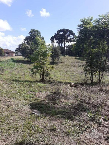 Imagem 14 de 14 de Chácara À Venda, 34000 M² Por R$ 1.900.000,00 - Colônia Murici - São José Dos Pinhais/pr - Ch0061