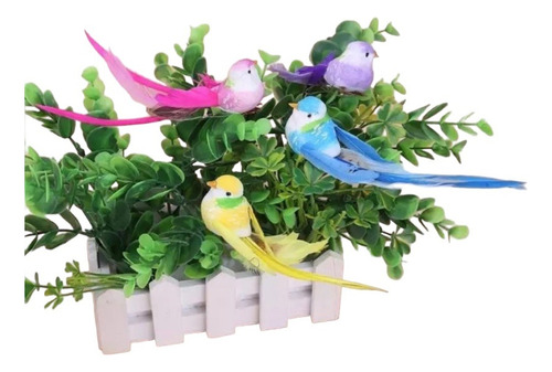 Caja De Pájaros Realistas Decorativo Plumas 12 Unidades