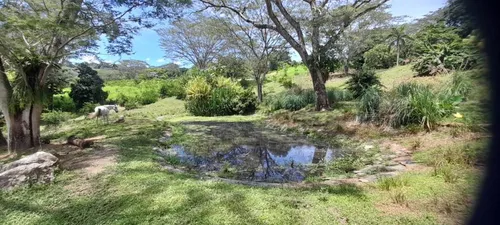 Finca En Venta En La Pintada. Cod V11855