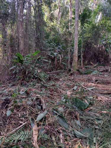 Imagem 6 de 14 de A26- -lotes Sem Burocracia