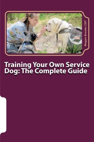 Training Your Own Service Dog The Complete Guide Everything 