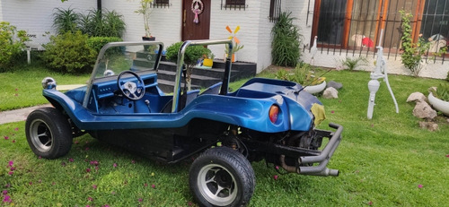 Buggy Puelche
