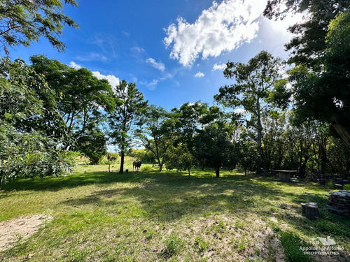 Chacra De 1.6has En Balneario Los Pinos, Colonia, Uruguay. #409