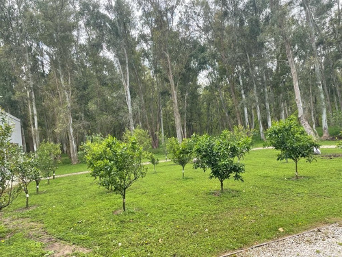 Imagen 29 de 30 de Casa Quinta Nueva Con Casa De Huespedes Venta En 5h Quebradas Baradero