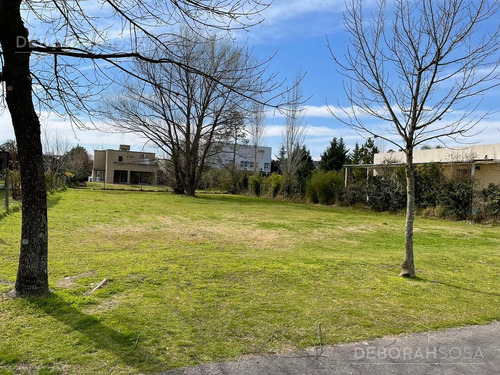 Imagen 2 de 7 de Terreno - Álamo Alto - Zona Norte - Escobar