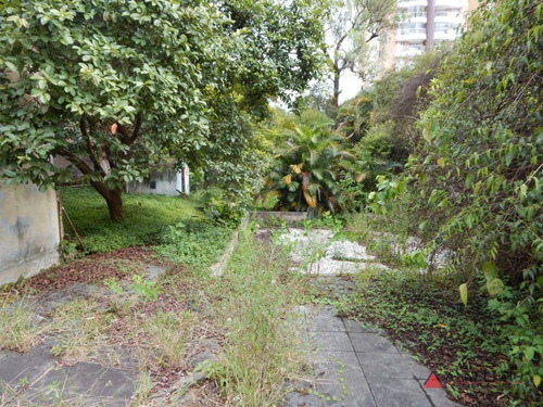 Imagem 2 de 11 de Terreno À Venda, 2500 M² Por R$ 10.750.000,00 - Centro - São Bernardo Do Campo/sp - Te0112