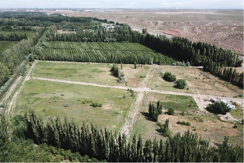 Imagen 25 de 30 de Terreno La Consuelo 499 Mts