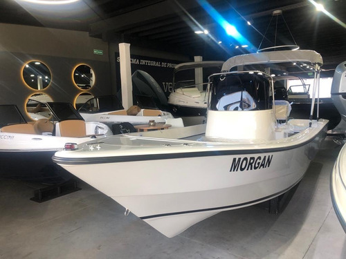 Imagen 3 de 19 de Bermuda Safari 550 Mercury 60hp Ct 4t - Entrega Inmediata!!