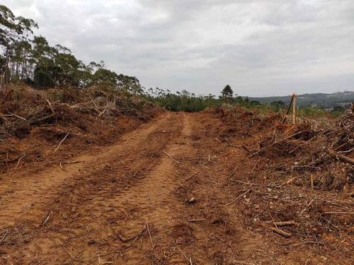 Imagem 3 de 14 de I20- Ibiúna Garden Lotes 500m2 Trga Sua Familia !!!!