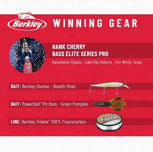 Cebo Duro Para Pesca Berkley Stunna Stone Cold 112 Mm 42 G