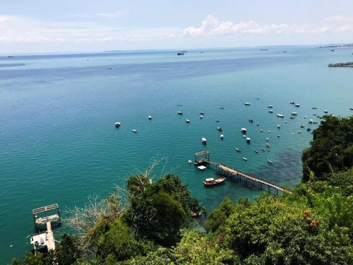 Apartamento 3 Suites Sendo 1 Suite Master Com Vista Para Baia De Todos Os Santos 288m2 Na Vitória - Pas069p - 69105732